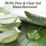 Whitening Aloe Vera Gel